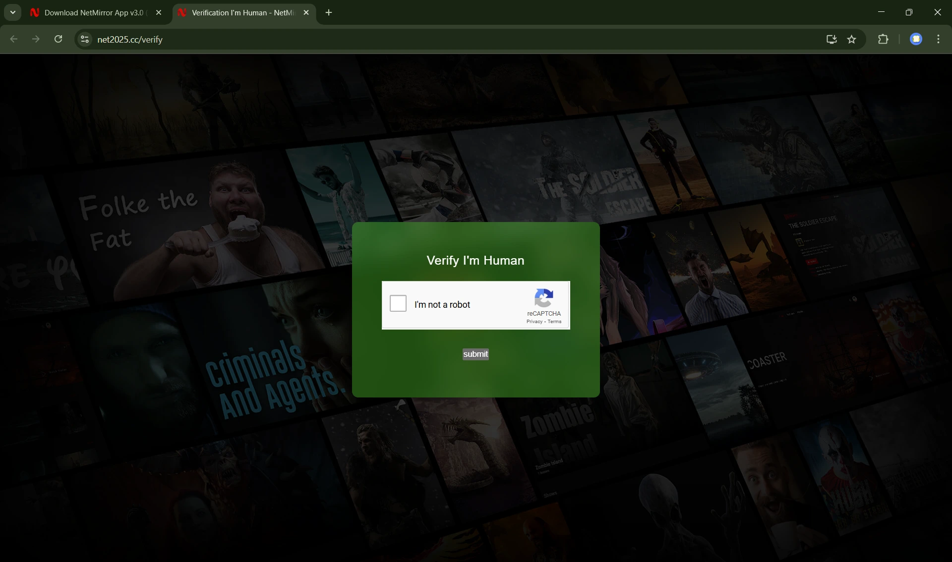 NetMirror PC verification screen with reCAPTCHA