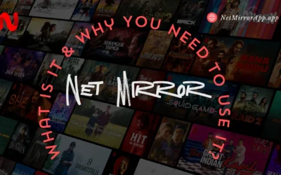 NetMirror: What is it & Why You Need to Use It